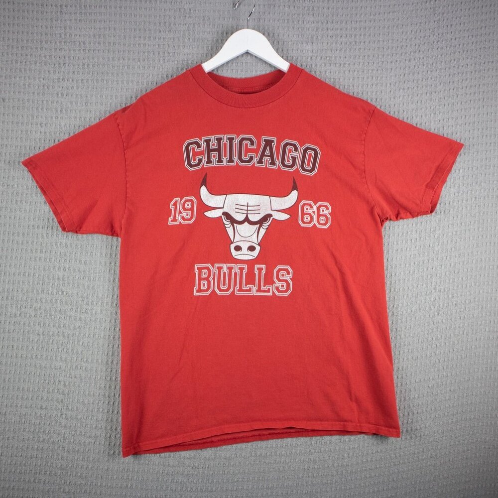 NBA Chicago Bulls 2022 Logo Tee Mens Large